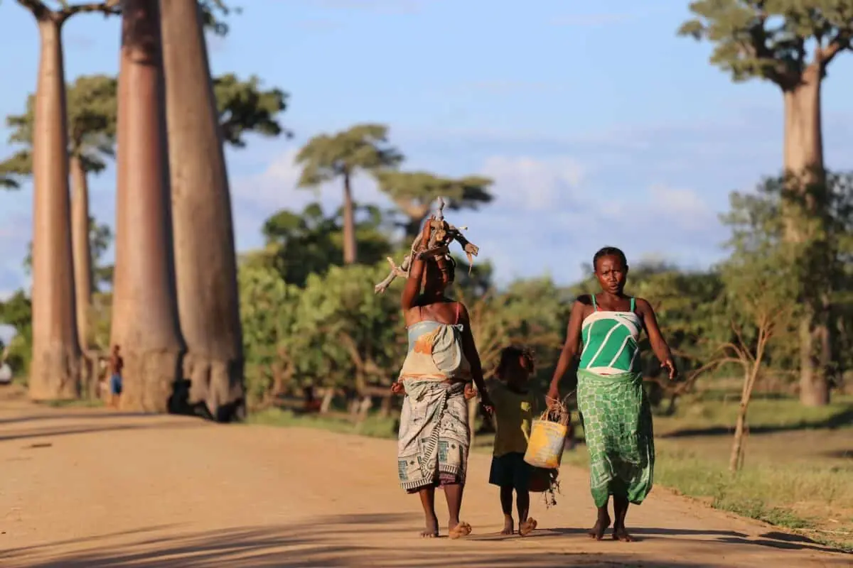 Deux femmes et un enfant marchent sur une piste bordée de baobabs à Madagascar