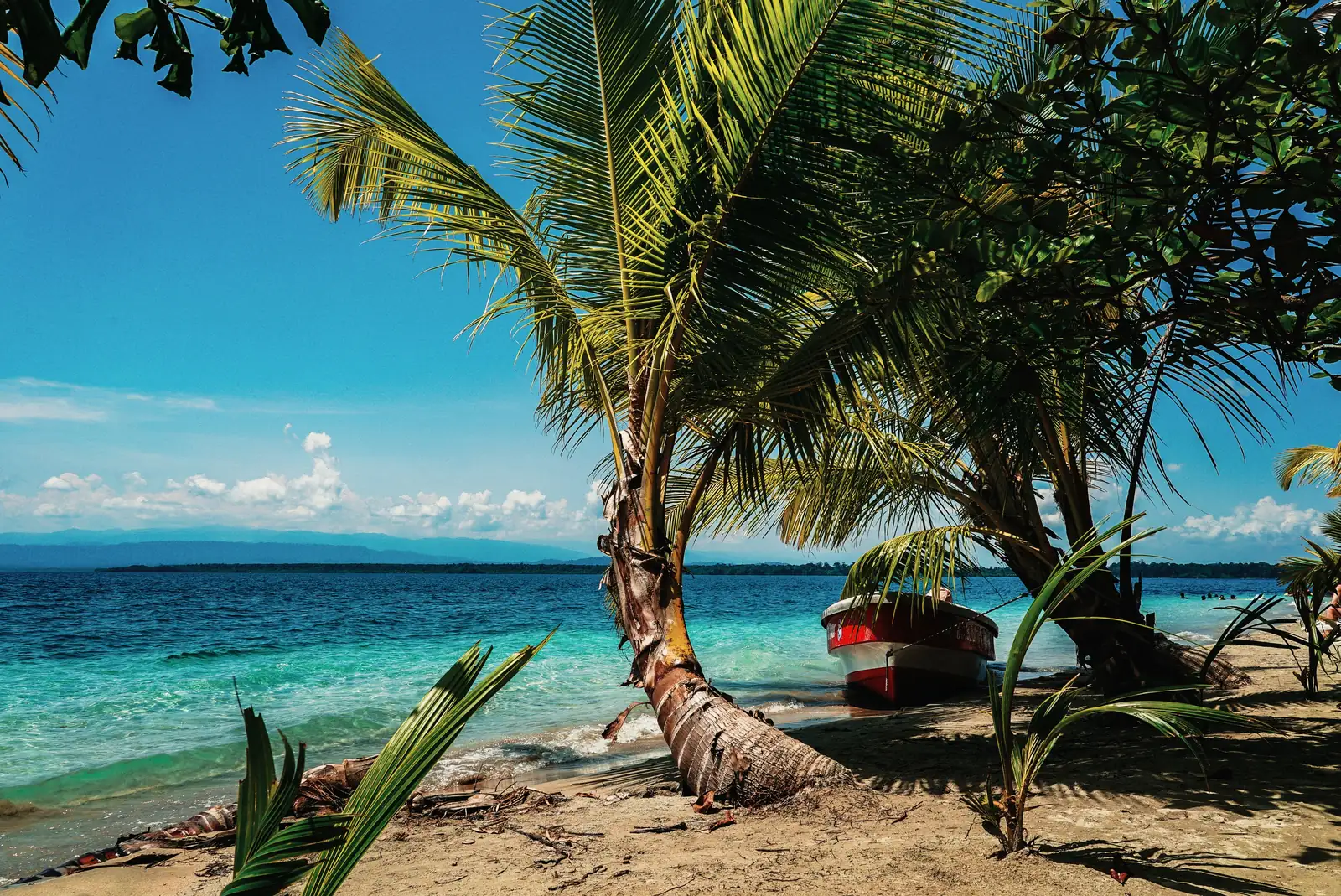 Plage bordée de cocotiers et barque sur le rivage